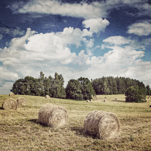 Big hay rolls on field.