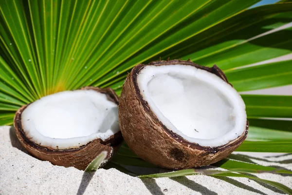 Broken brown coconut on sandy beach