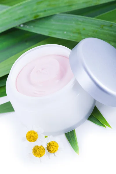 Organic skincare creams with camomile