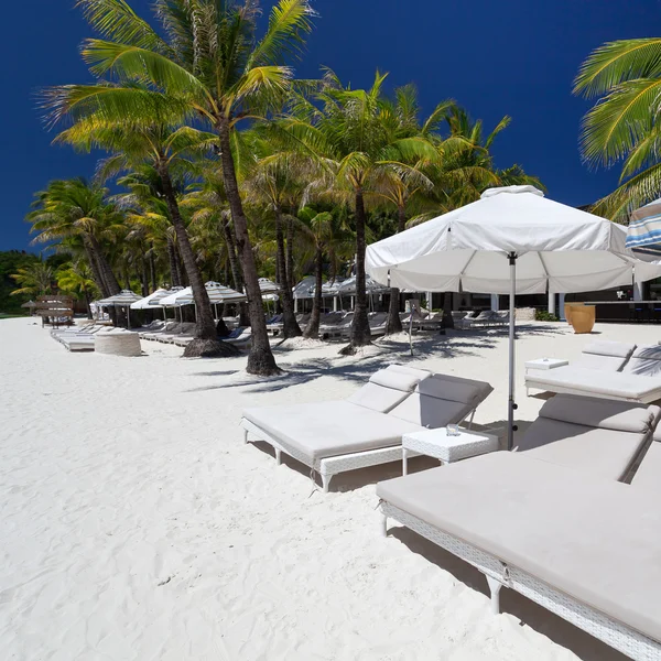 Sun umbrellas and beach beds on tropical coastline