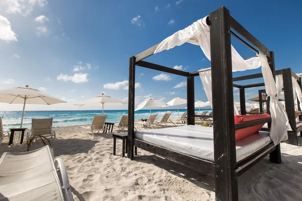 Luxury wooden lounge beds on caribbean beach