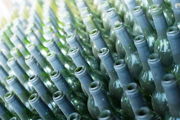 Rows of many empty wine bottles