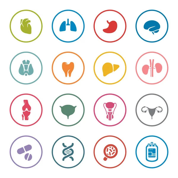 Human organs icon set