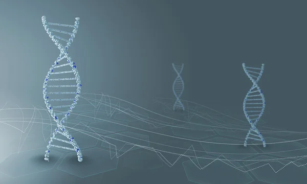 DNA molecule