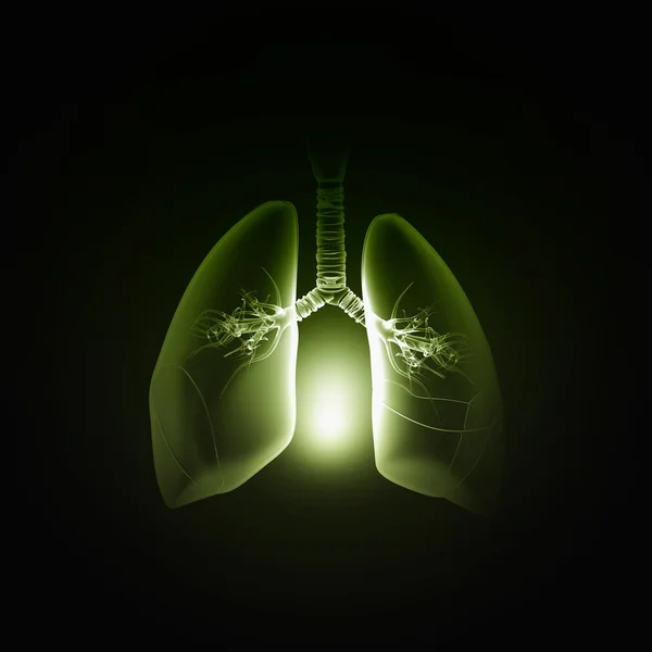 Lungs health . Concept image