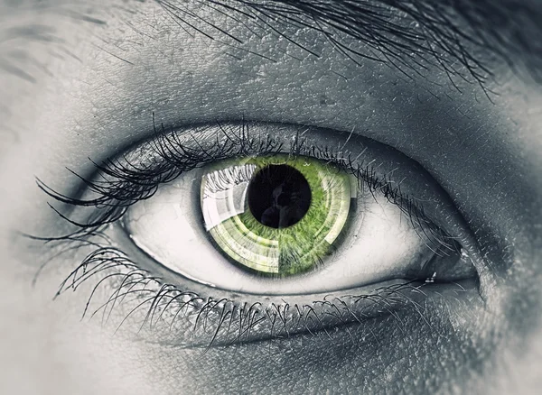 Woman eye. Concept image