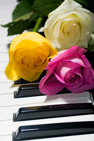 Background of yellow, pink, white roses on black and white piano