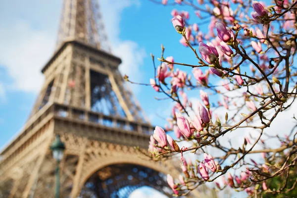 Spring in Paris