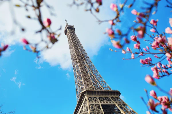 Spring in Paris