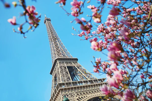 Spring in Paris