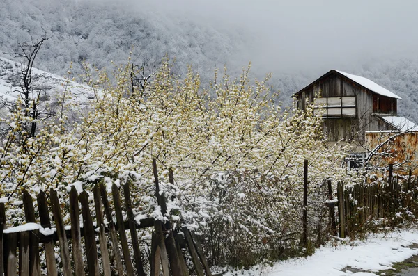 Abandoned wooden house with old broken fence in winter, Armenia, Caucasus mountains,Asia