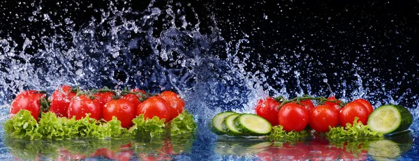 Salad, tomato and with water drop splash