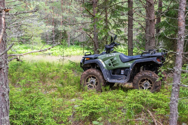 The modern quad bike parked at the forest in summer day