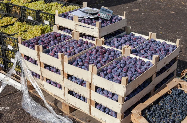 Fresh fruits including grapes and plums for sale at the farmers