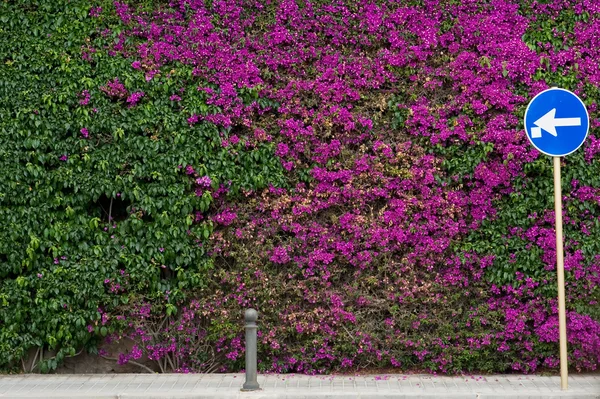 Wall covered with flowers and a sign indicating the direction of