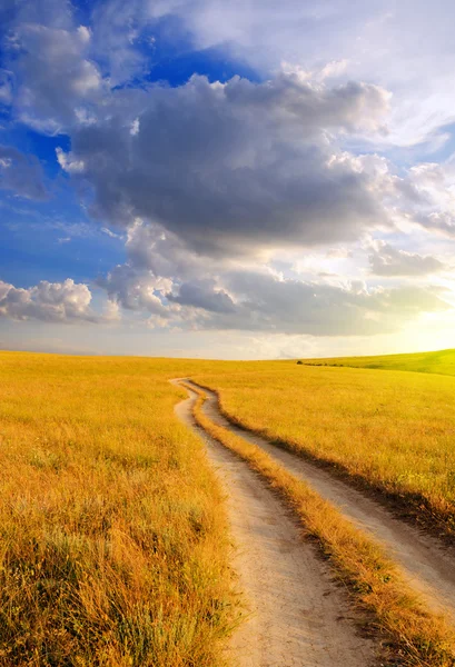 Dirt road in the steppe at dawn