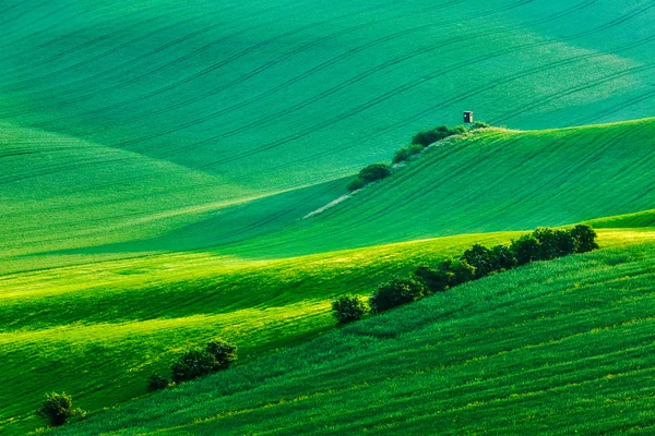 Moravian rolling landscape with hunting tower shack