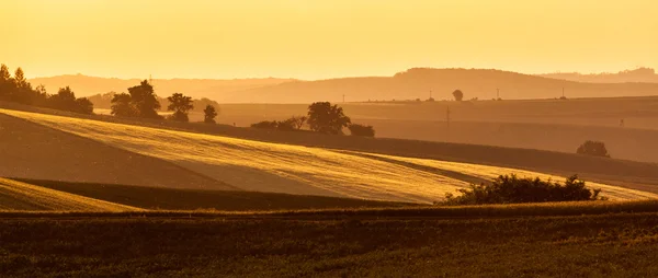 Moravian rolling landscape on sunset