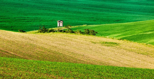 Moravian rolling landscape with hunting tower shack