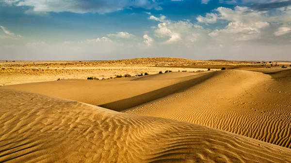 Dunes of Thar Desert, Rajasthan, India