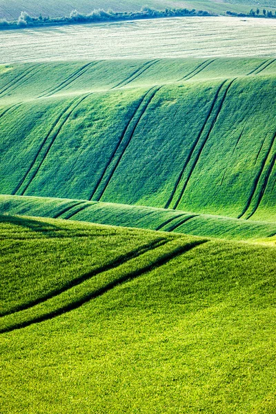 Rolling landscape of  South Moravia