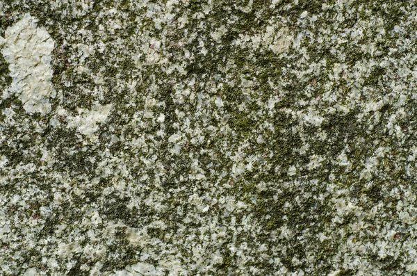 Granite texture with MOSS