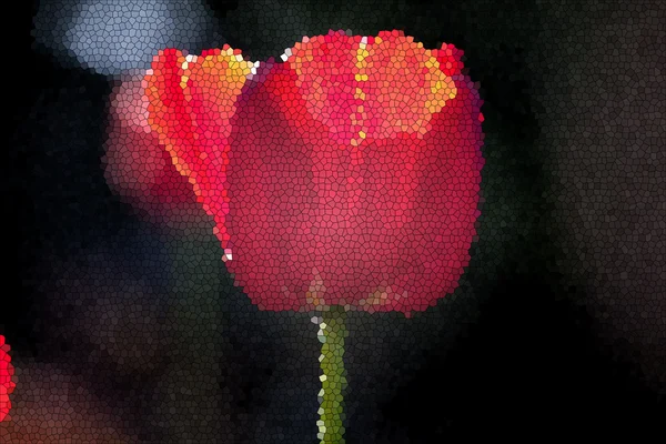 Spring red tulips flower