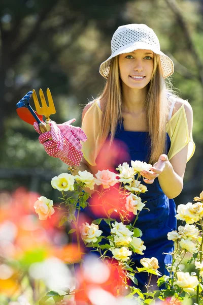 Gardener  working in roses plant
