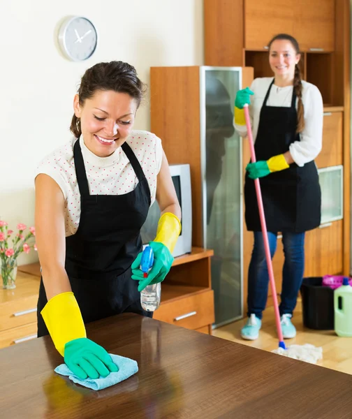 Two cleaners cleaning room together