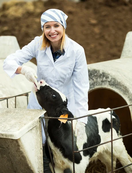 Female employee posing with young cattle