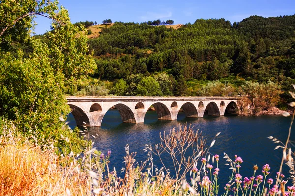 Landscape with old bridge over lake