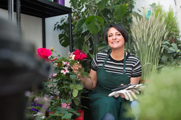 Florist with tools in the gardening store