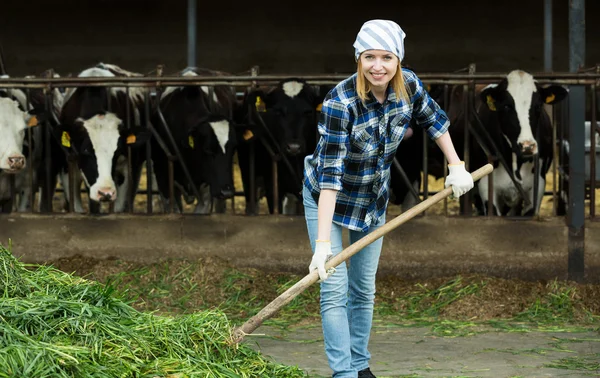 Female farmer collecting grass