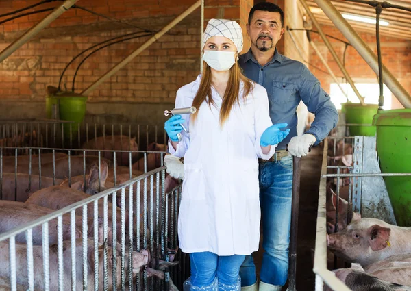 Farmer and veterinarian in pigsty