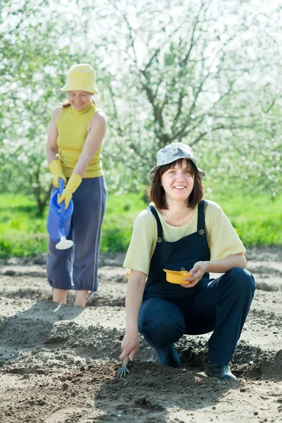 Women sows seeds