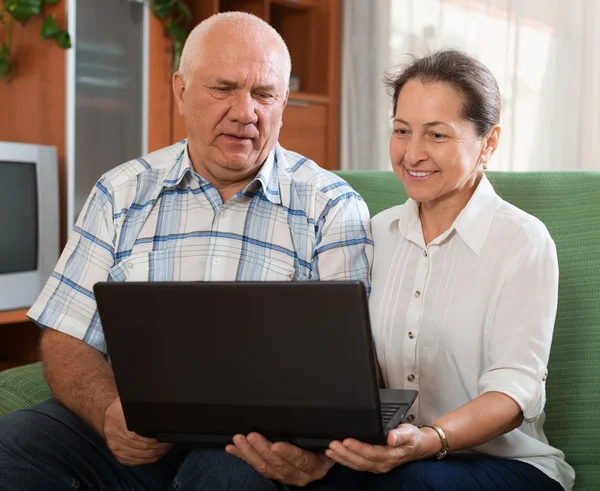 Happy mature couple  with computer