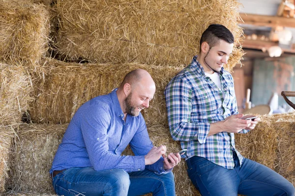 Two farmers with phones at hayloft