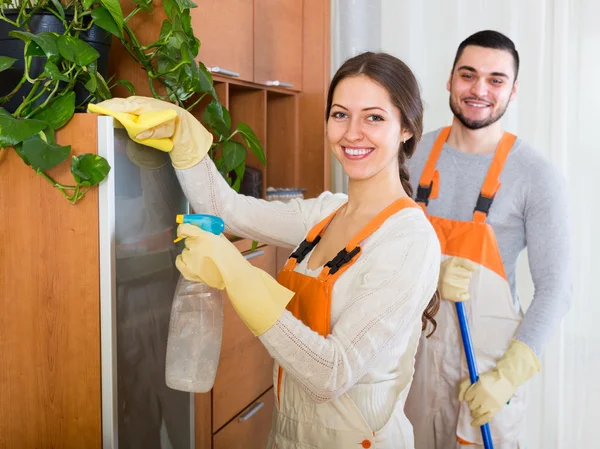 Professional cleaners cleaning