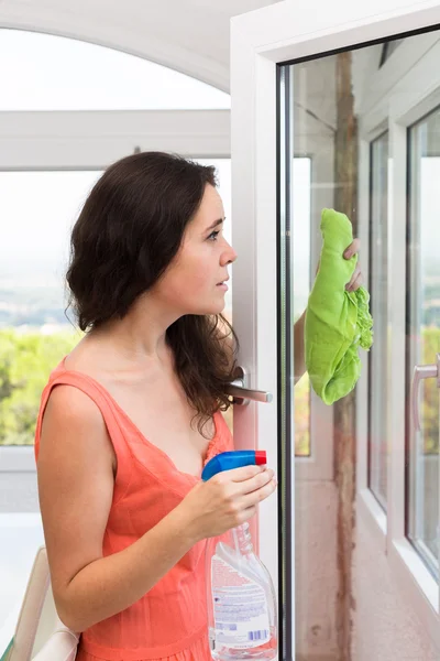 Maid cleaning windows