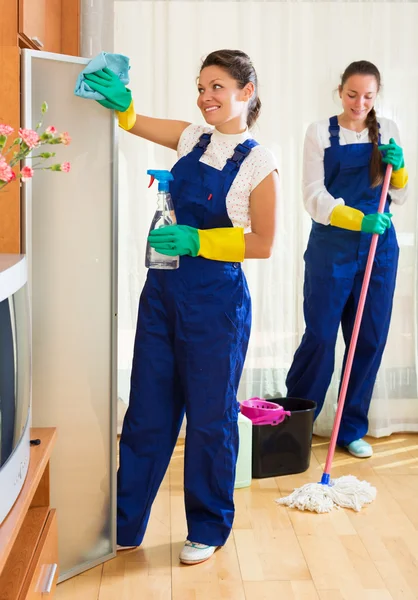 Professional cleaners washing apartment