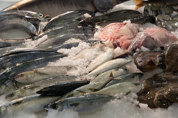 Raw  fish on  market counter