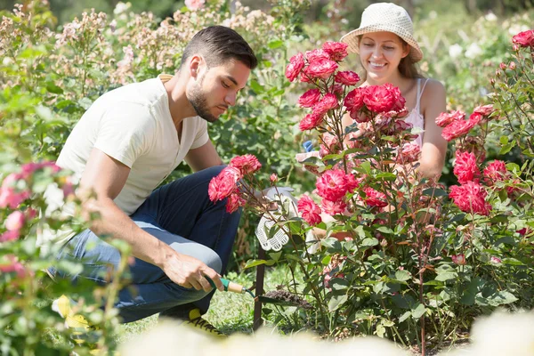 Happy couple planting flowers