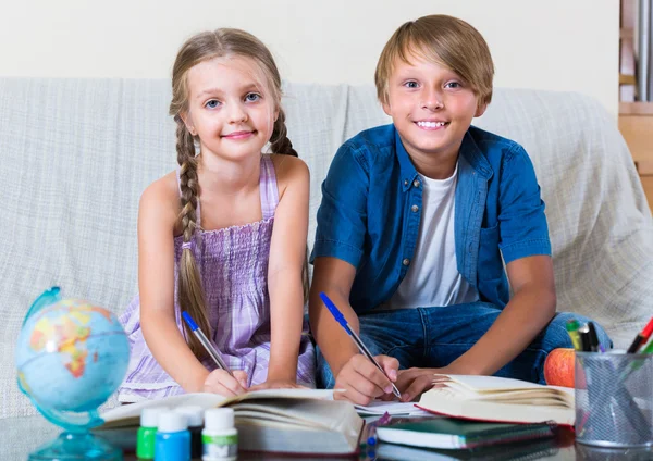 Boy and sister studying with books