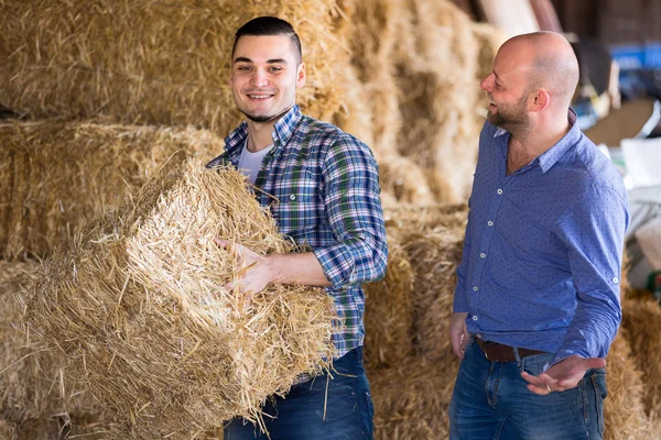 Farmers stacking hay in mow