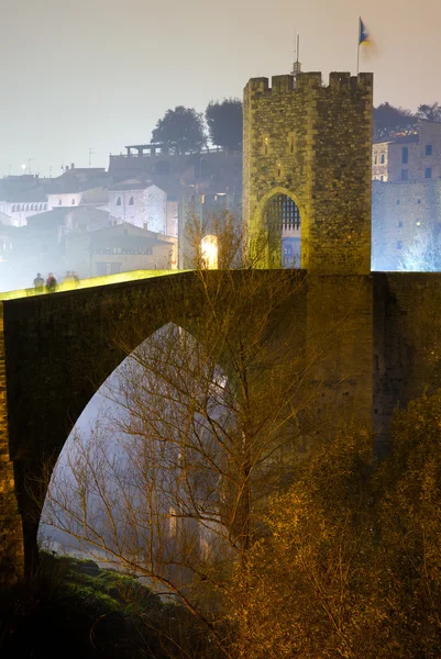 Old  town with gate on bridge in night time.