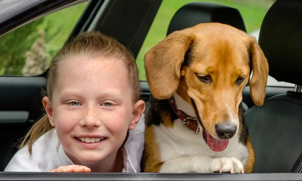 Happy girl and beagle in a car