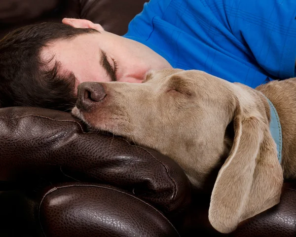 Dog and man sleeping
