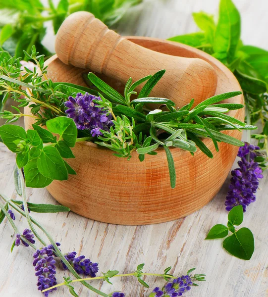 Wooden Mortar with fresh herbs