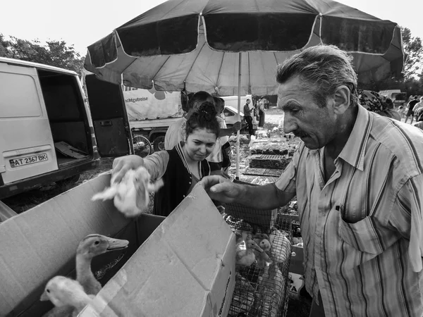 Farmer\'s Market in the Carpathians - High Res