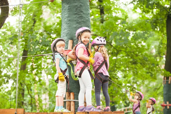 The obstacle course in adventure park